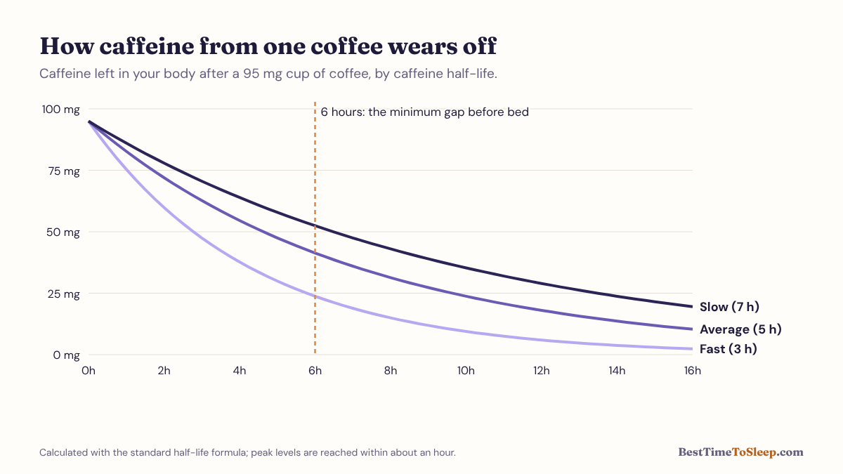 Line chart of caffeine remaining in the body over 16 hours after a 95 mg coffee, for fast, average and slow metabolism
